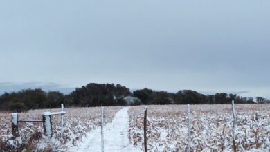 Photo of Las redes sociales se llenaron de imágenes de la nieve en Córdoba