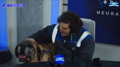 Photo of Javier Milei mostró a su perro Conan en un programa de streaming