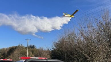 Photo of La Provincia contuvo un incendio en la zona del Pro Racing