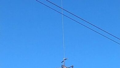 Photo of Delivery fallido en la cárcel de Bouwer: un drone con celulares quedó colgado en los cables