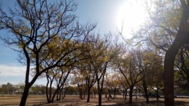 Photo of El tiempo: anticipan 23 grados y un ameno miércoles en Córdoba