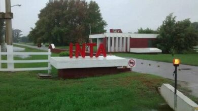Photo of Motosierra en el INTA: el campo expresó su preocupación por las medidas en estudio