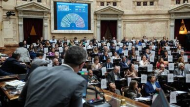 Photo of Diputados aprobó la emergencia en discapacidad: que dice el nuevo proyecto