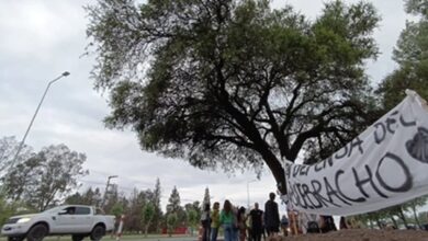 Photo of La Justicia rechazó el amparo para frenar la remoción del quebracho en Villa Allende