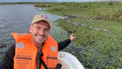 Photo of Aventura en Corrientes: safari por el Gran Parque Iberá