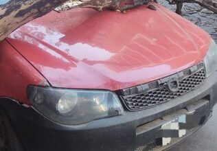 Photo of Una rama se desprendió y aplastó un auto en Nueva Córdoba