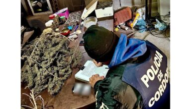 Photo of Córdoba: una veintena de detenidos en un operativo en barrio Ciudad de Mis Sueños