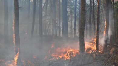 Photo of Córdoba declara el «estado de alerta ambiental» por riesgo de incendios