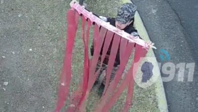 Photo of Córdoba insólita: dos detenidos mientras robaban una cortina de plástico «en tiras»