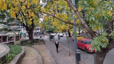 Photo of Córdoba: con buenas temperaturas, cómo sigue el tiempo para la «semana corta»