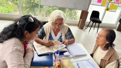 Photo of Córdoba: adultos pueden concluir la primaria con clases especiales de huerta, arte e inglés