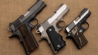 Photo of Gobierno Nacional flexibilizó la regulación de armas semiautomáticas para «uso deportivo»