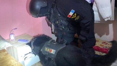 Photo of Dos hermanos y sus parejas hacían «delivery» de droga