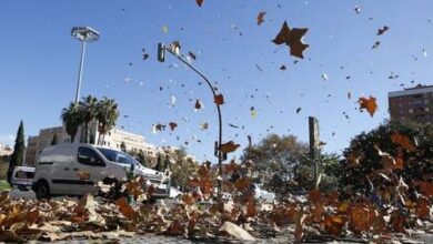 Photo of Alerta amarillo: anuncian jornadas de fuertes vientos en Córdoba