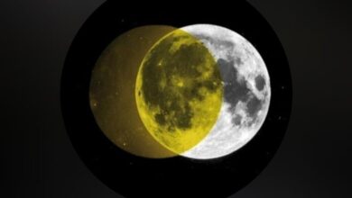 Photo of Fotonoche Córdoba: un festival internacional de fotografía bajo las estrellas