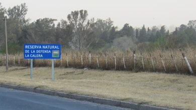 Photo of Derechos Humanos: exigen que se preserve la Reserva Natural del ex Tercer Cuerpo del Ejército y se busquen los cuerpos de desaparecidos