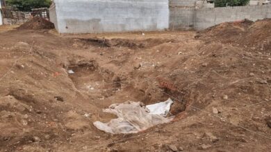 Photo of Hallan fosa con más de 20 cadáveres cerca del ex centro clandestino Campo de la Ribera