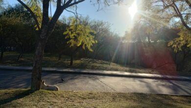 Photo of Anticipan amenas jornadas en el arranque de la semana en Córdoba