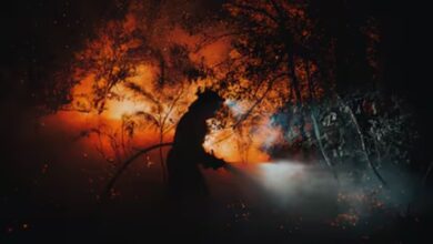 Photo of Los incendios de este año arrasan ya más de 390.000 hectáreas en España