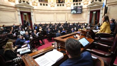 Photo of Senado: revierten paquete de DNU, tratan emergencia pediátrica y universidades