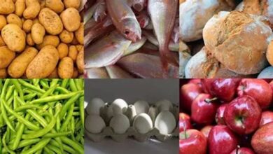 Photo of Alimentación en Argentina: «La distancia entre la dieta recomendada y la consumida»