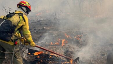 Photo of Fuego en Córdoba: sofocan las llamas en Pampa Alta pero temen reinicios