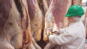 Photo of Chile suspendió importación de carne argentina por fiebre aftosa