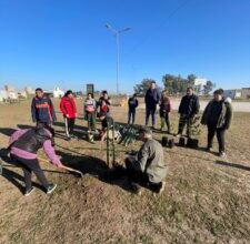 Photo of PLANTACIÓN DE ÁRBOLES EN LA PLAZOLETA DEL DEPORTE Y LA AMISTAD