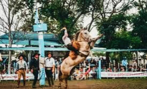 Photo of LAS VARILLAS SE PREPARA PARA CELEBRAR LAS 80 EDICIONES DE LA FIESTA NACIONAL DE LA DOMA Y EL FOLKLORE