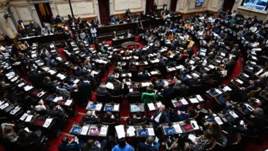 Photo of Garrahan y universidades: Diputados busca frenar los vetos en sesión caliente