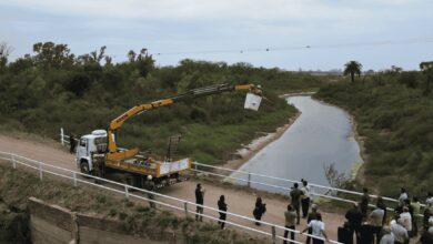 Photo of Ansenuza: la Provincia instaló desviadores de vuelo en líneas eléctricas para proteger aves migratorias