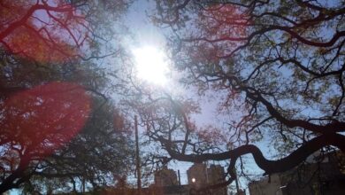 Photo of Octubre arranca con ascenso de temperatura