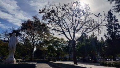 Photo of El invierno no se despide: anticipan frescas jornadas en Córdoba