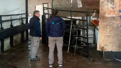Photo of Descubren un matadero ilegal en el interior de Córdoba: secuestraron cien kilos de carne