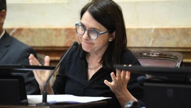 Photo of Carmen Álvarez Rivero: “No necesitamos otra ley, el kirchnerismo hizo caja”
