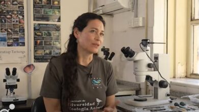Photo of Conexiones: científicos cordobeses en el mar — estreno del documental del SRT‑UNC