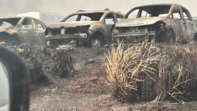 Photo of Combaten foco en el Parque Nacional Quebrada del Condorito: autos incendiados