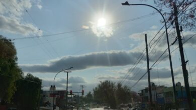 Photo of Córdoba, a pura primavera: anuncian crecimiento paulatino de la temperatura