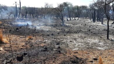 Photo of Brigadistas contienen el incendio en Guasapampa