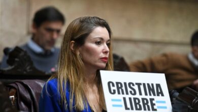 Photo of Gabriela Estévez presentó un amparo para frenar la privatización de la Energía Nuclear