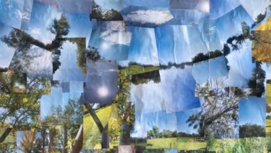Photo of Inauguran “Todas y todos somos ambiente”: muestra fotográfica de APADIM en el Centro Cultural UNC