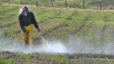 Photo of Córdoba: ordenan el cese de fumigaciones con agroquímicos en barrio Universitario de Horizonte III