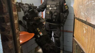 Photo of Córdoba: cierran dos “kioscos” de droga que operaban en casas y detienen a 3 personas