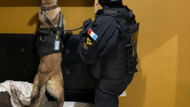 Photo of Desbaratan clan narco que operaba en Córdoba, La Calera y El Manzano y detienen a siete personas