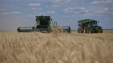 Photo of Córdoba apunta a su mejor campaña: trigo provincial proyecta 6,2 millones de toneladas, según la Bolsa de Cereales