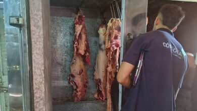 Photo of Córdoba: decomisaron 700 kilos de carne porcina por faenamiento ilegal