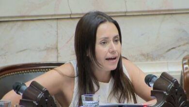 Photo of Carolina Basualdo: “Argentina necesita un federalismo real»