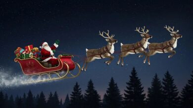 Photo of Ruta navideña en vivo: cómo seguir a Papá Noel y en qué países ya brindaron