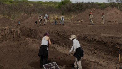 Photo of “La tierra habló y denunció un pacto de silencio”: avanza la identificación de restos en La Perla