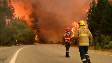 Photo of El fuego en Chubut ya alcanzó la Ruta 40: Vialidad Nacional pide “extrema precaución”